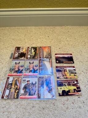 Wisconsin Wildcards Collectible Sticker Card Lot - Multicolor Set